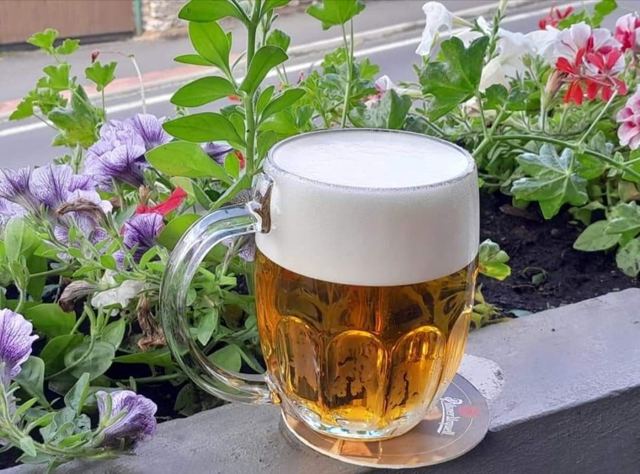 Pilsner Urquell na zahrádce